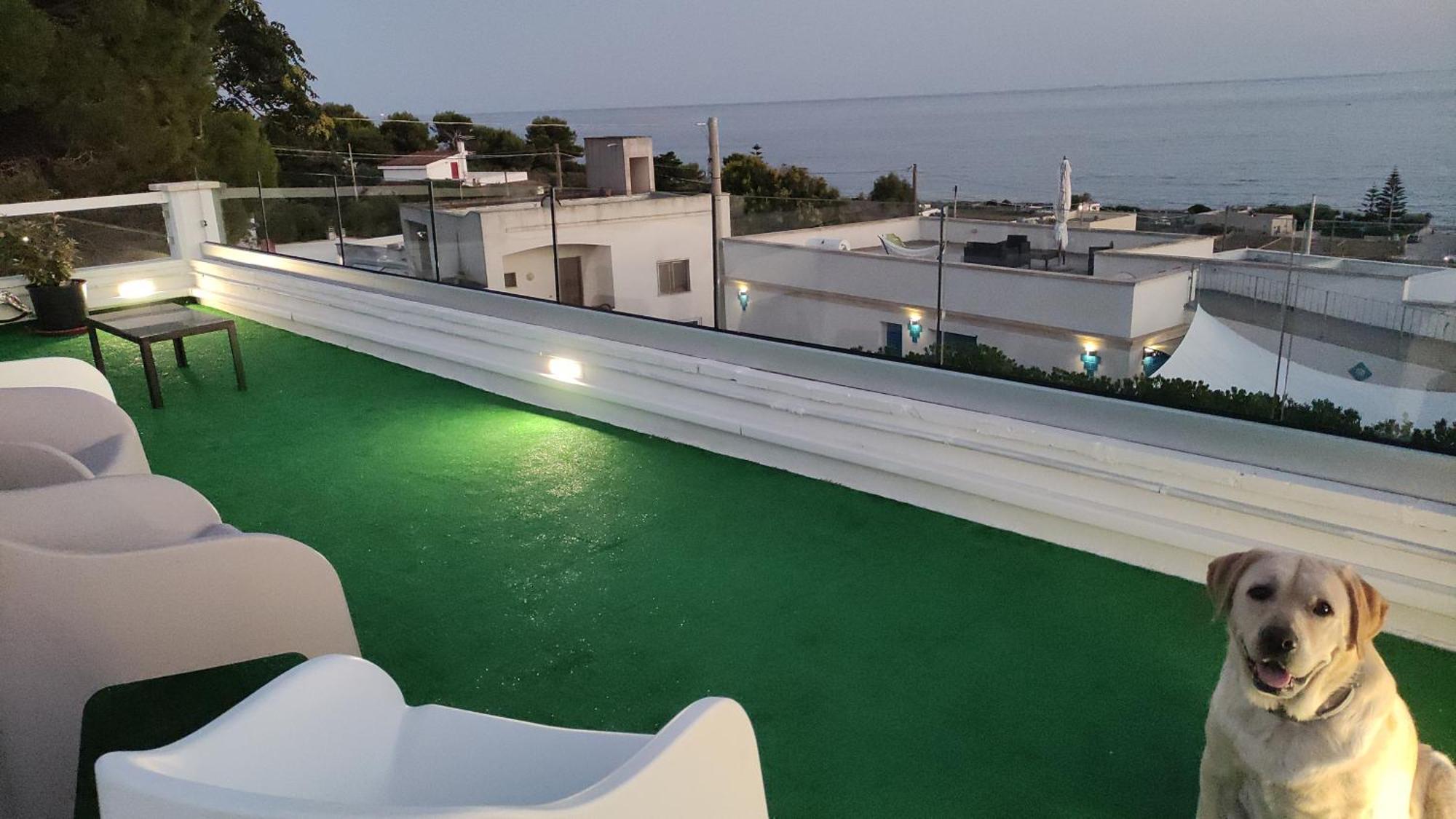 Villa Stella Torre Vado Εξωτερικό φωτογραφία